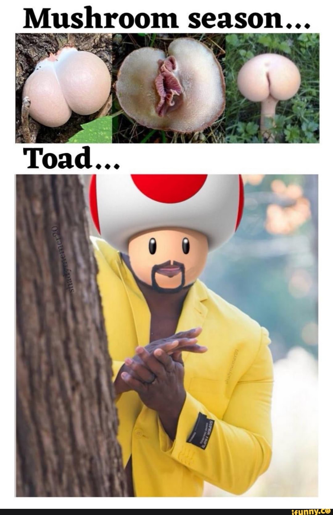 Mushroom season...
\ Fy,