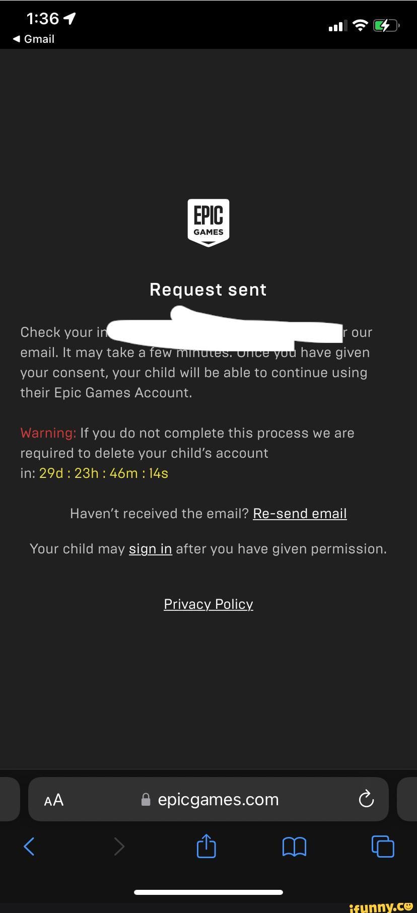 epic games verify email not working