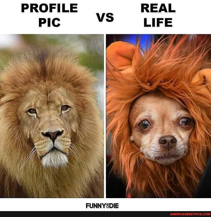 PROFILE REAL
PIC
In
