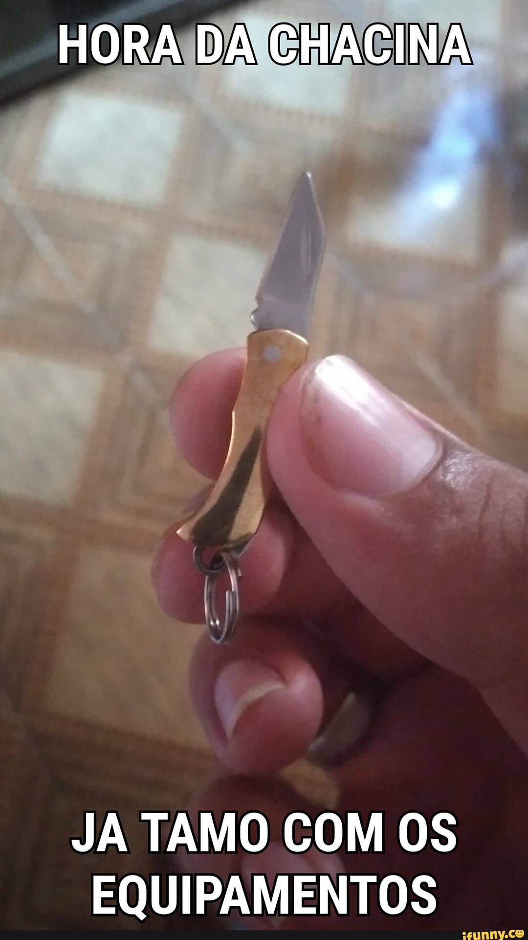 HORA DA CHACINA
JA TAMO COM OS EQUIPAMENTOS