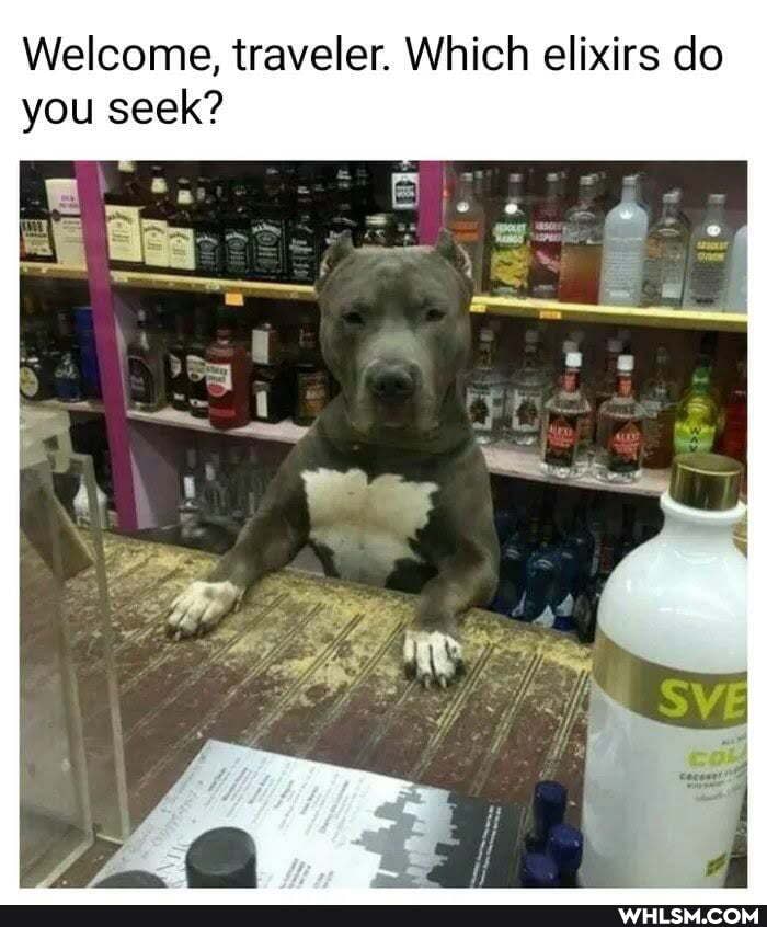 Welcome, traveler. Which elixirs do
you seek?