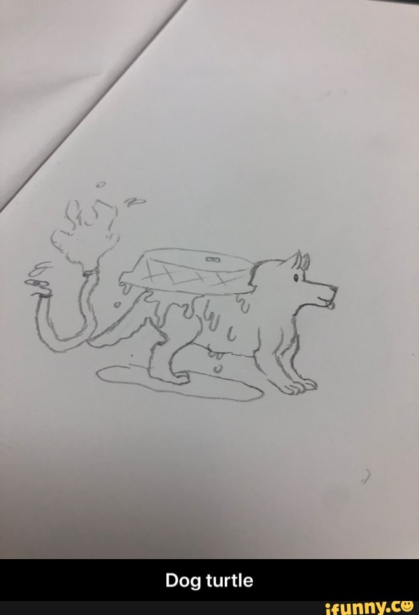 Dog turtle - Dog turtle
