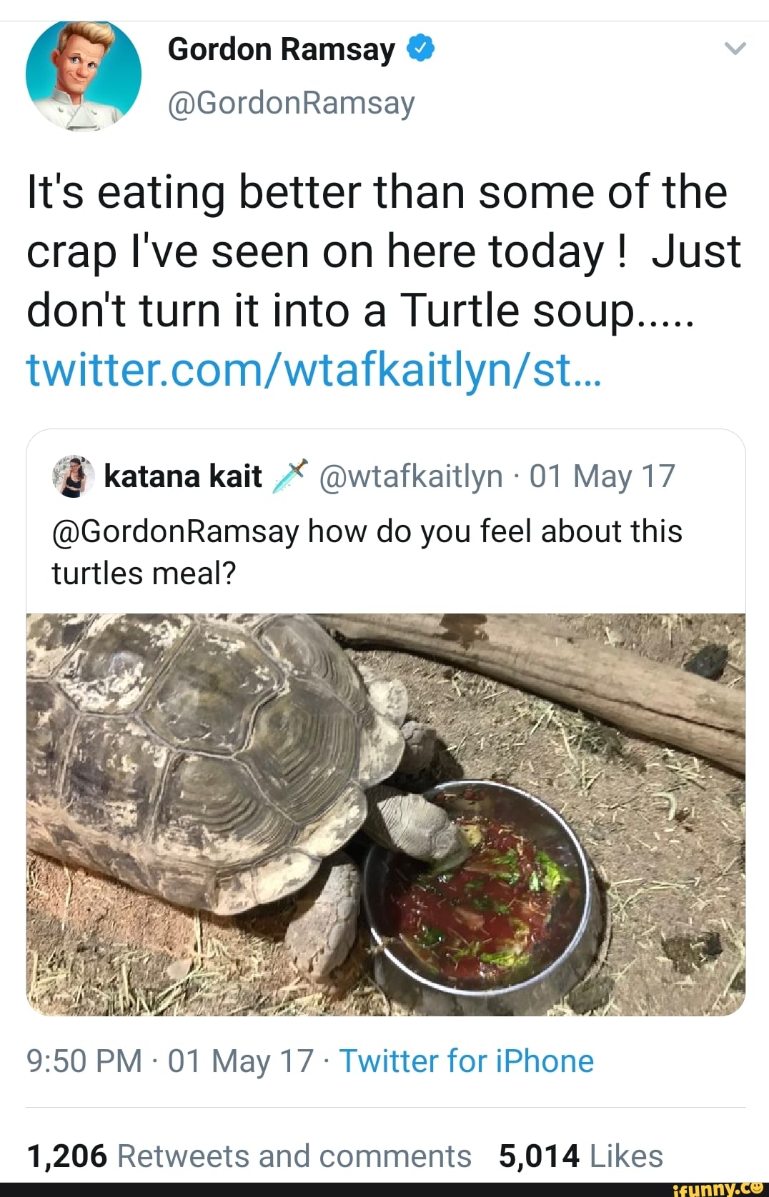 Turtlesoup memes. Best Collection of funny Turtlesoup pictures on iFunny