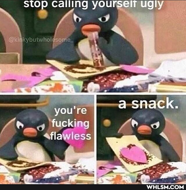 Stop calling yourselfy ugly
ag II