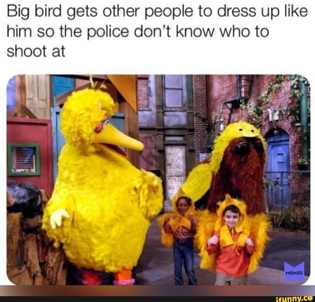 Big bird gets other people to dress up like him so the police don‘t ...