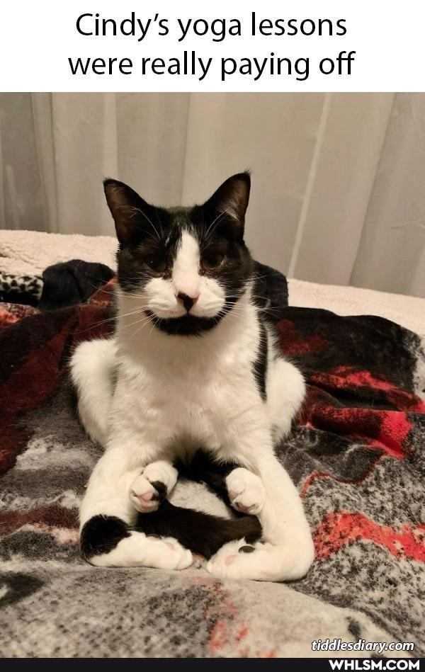 Cindy's yoga lessons were really paying off