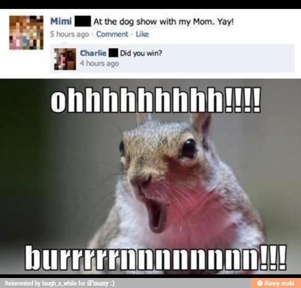 Mimi [I At the dog show with my Mom. Yay!
ago Comment Like ge tee lid your win?
La
HULL