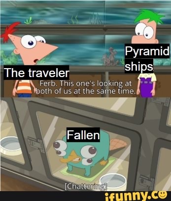 'ships
The traveler
Ferb This one's looking at
oth of us at the same time.
