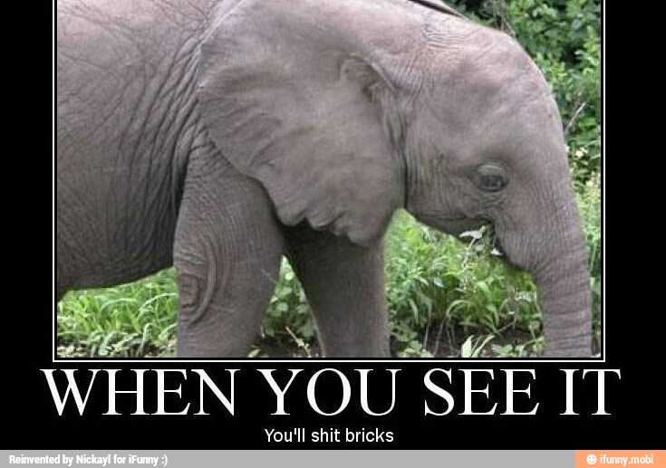 WHEN NYOUS SEE IT
You'll shit bricks
