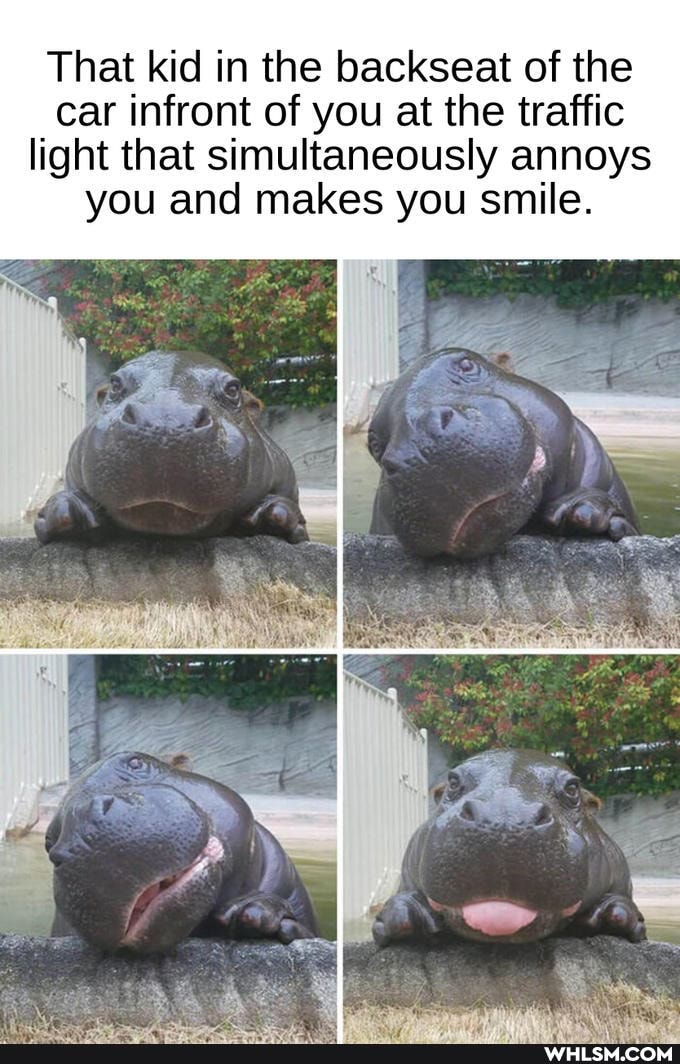 That kid in the backseat of the car infront of you at the traffic light that simultaneously annoys you and makes you smile.