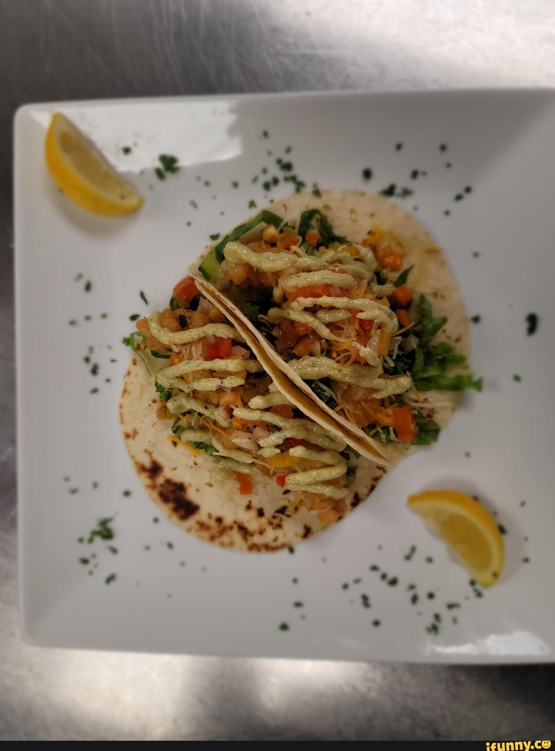 Daily Special! Lobster tempura tacos. iFunny