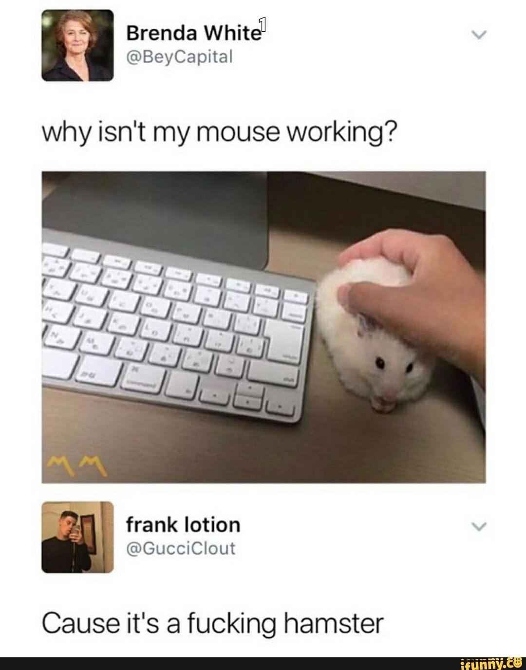 Brenda
@BeyCapital
why isn't my mouse working?
Cause it's a fucking hamster