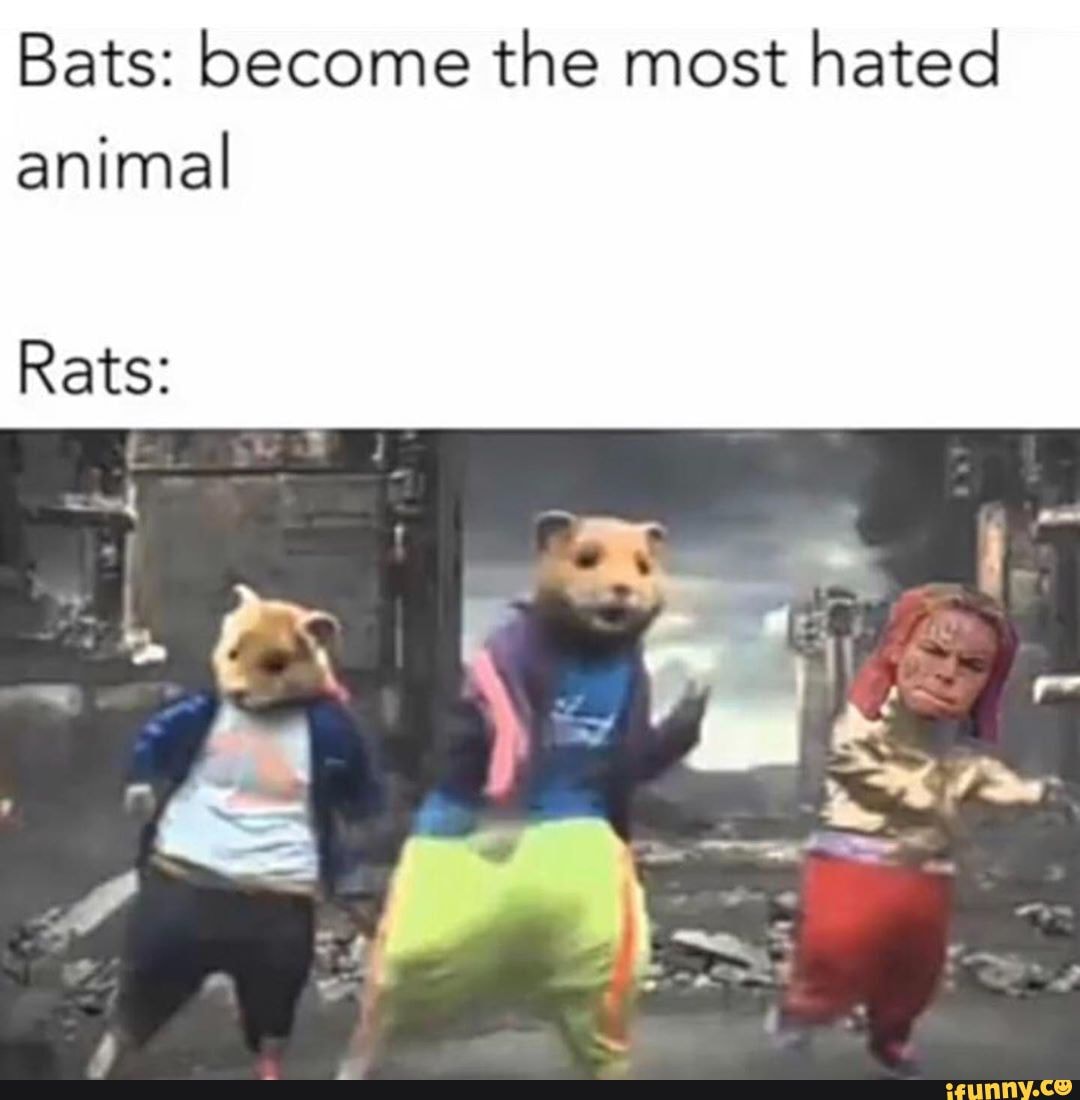 List 91+ Images What Is The Most Hated Animal In The World Full HD, 2k, 4k