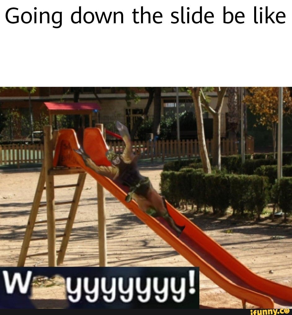 Going down the slide be like - iFunny