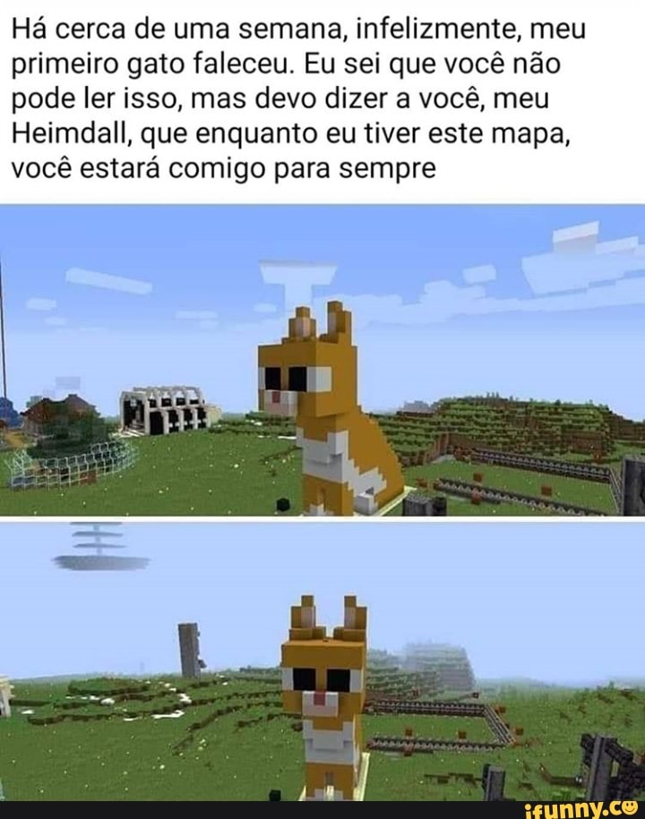 Há cerca de uma semana, infelizmente, meu primeiro gato faleceu. Eu sei que você não pode ler isso, mas devo dizer a você, meu
Heimdall, que enquanto eu tiver este mapa, você estará comigo para sempre