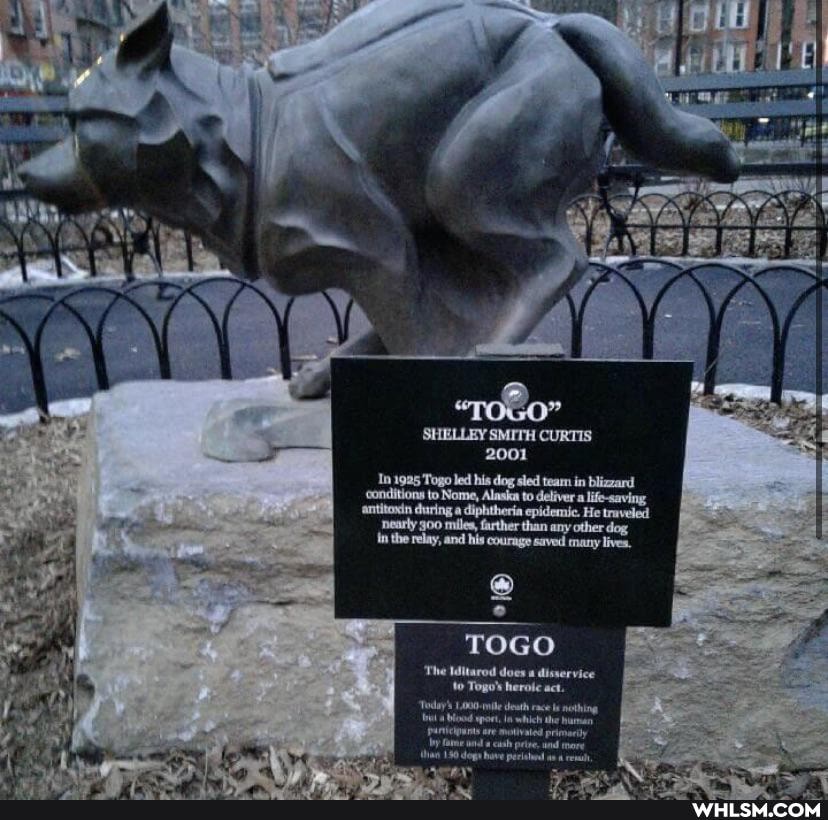 INF
2001
dog
TOGO
'The Iditarod does disservice herole act.
degs have