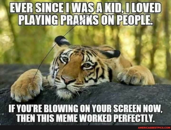 EVER SINCEI
PLAYING PRANKS) ON PEOPLE!
SS
YOU'RE BLOWING ON YOUR SCREEN NOW,
THEN THIS MEME WORKED PERFECTLY.