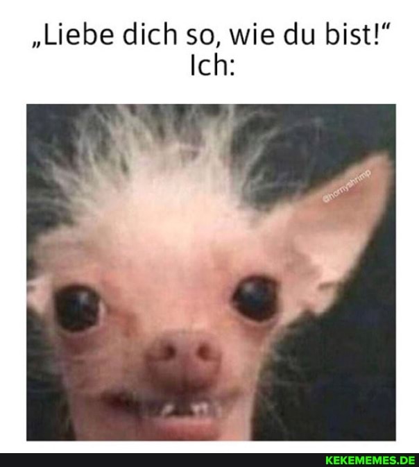 "Liebe dich so, wie du bist!"
Ich: