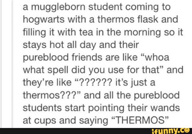 a muggleborn student coming to
hogwarts with a thermos flask and
filling it with tea in the morning so it
stays hot all day and their
pureblood friends are like “whoa
what spell did you use for that“ and
they’re like “?????? it’s just a
thermos???" and all the pureblood
students start pointing their wands
at cups and saying “THERMOS”