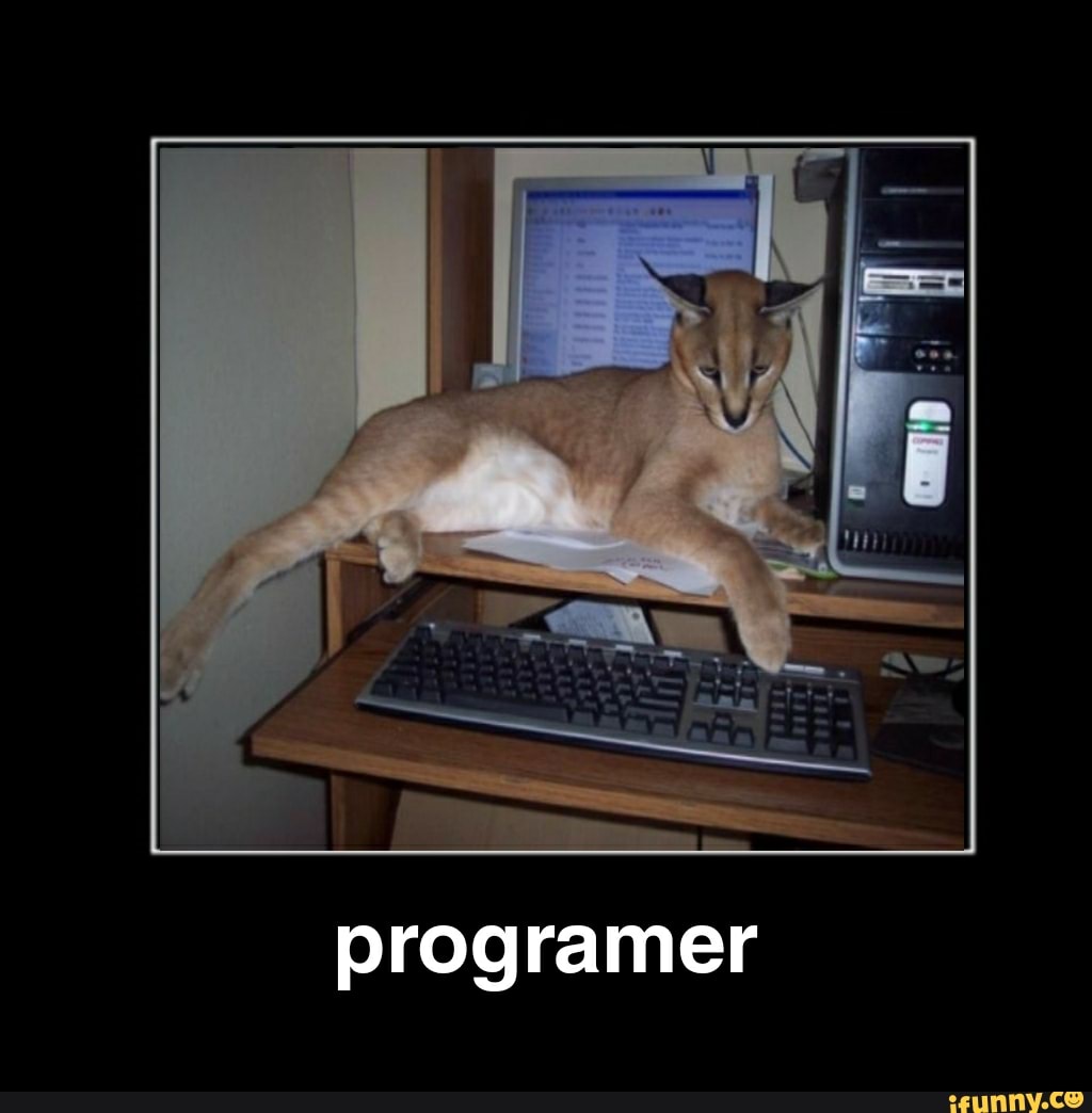 programmer