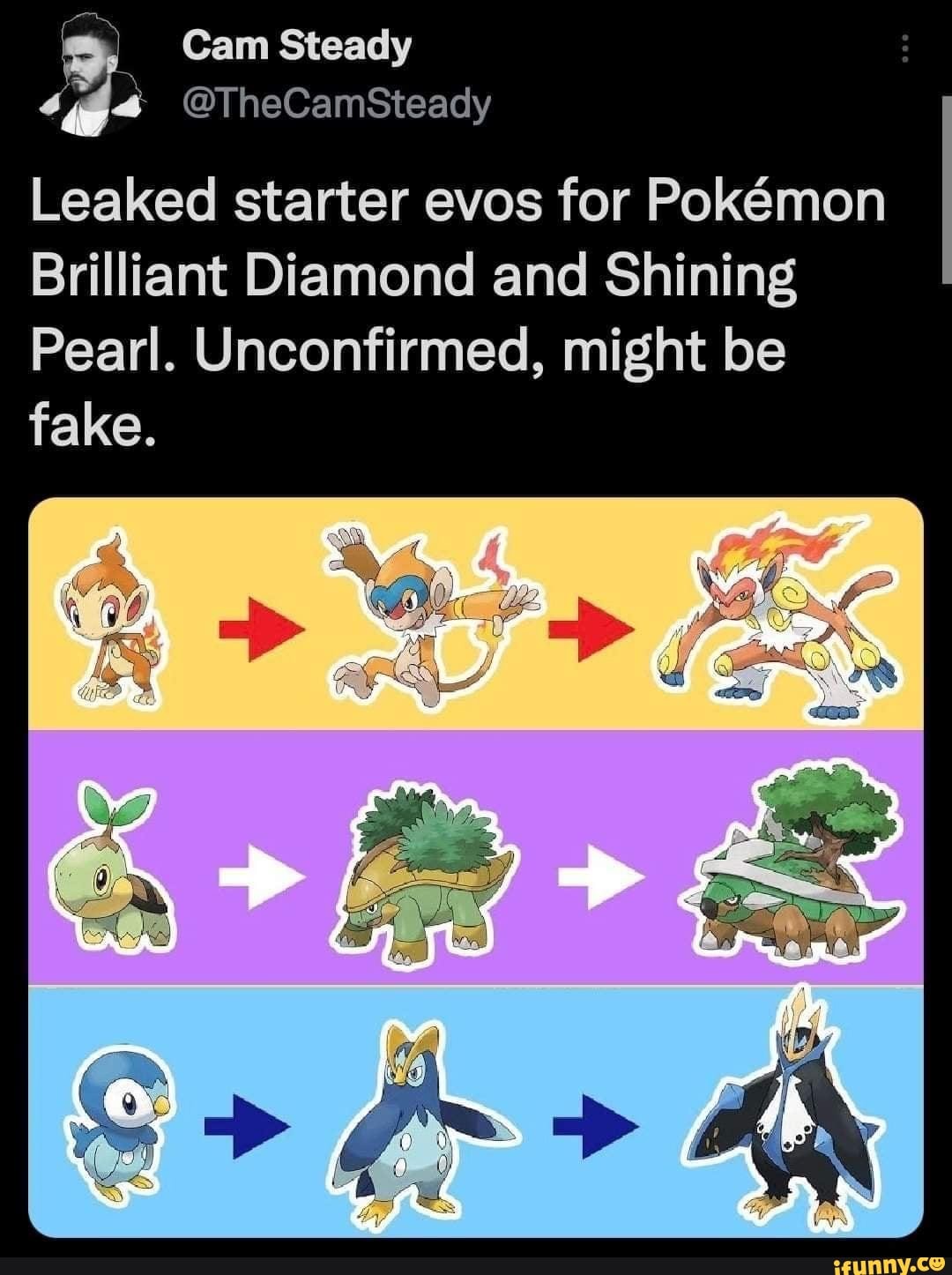 Cam Steady @TheCamSteady Leaked starter evos for Pokemon Brilliant ...