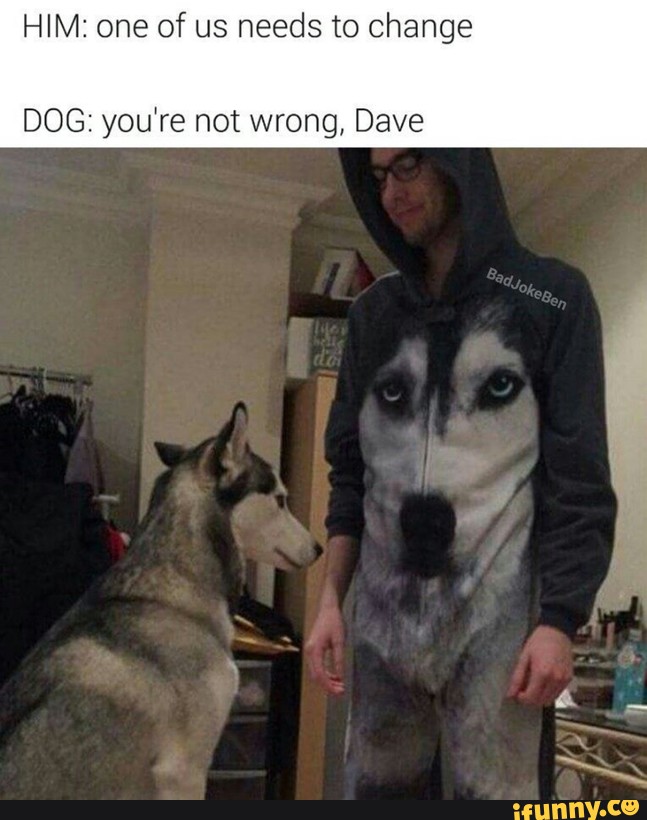 HIM: one of us needs to change DOG: you're not wrong, Dave. iFunny. 