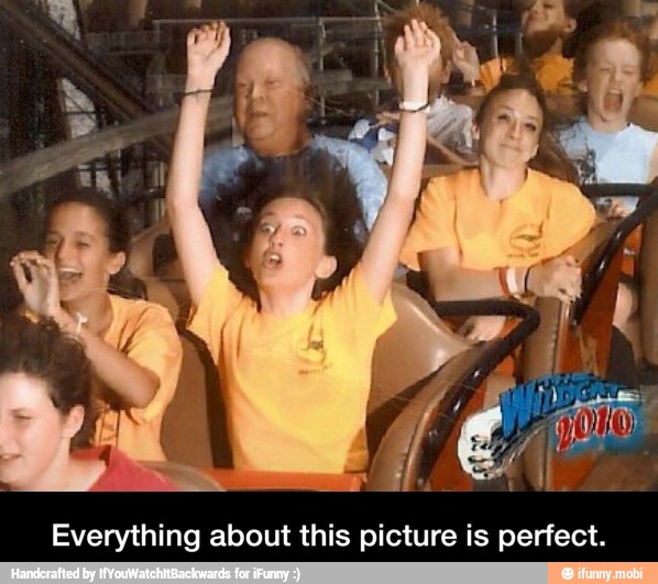 Everything about this picture is perfect. - Everything about this picture is perfect.