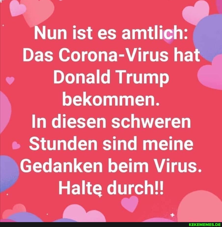 Nun ist es amtlich:
Das Corona-Virus hat
Donald Trump bekommen.
In diesen schweren
Stunden sind meine
Gedanken beim Virus.
Halte durch!!