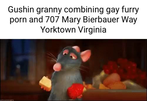 Ratatouille Gay Porn - Gushin granny combining gay furry porn and 707 Mary Bierbauer Way Yorktown  Virginia - iFunny Brazil