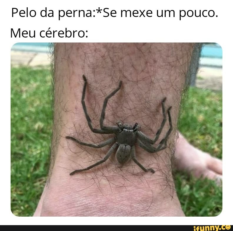 Pelo da perna:*Se mexe um pouco.
Meu cérebro: