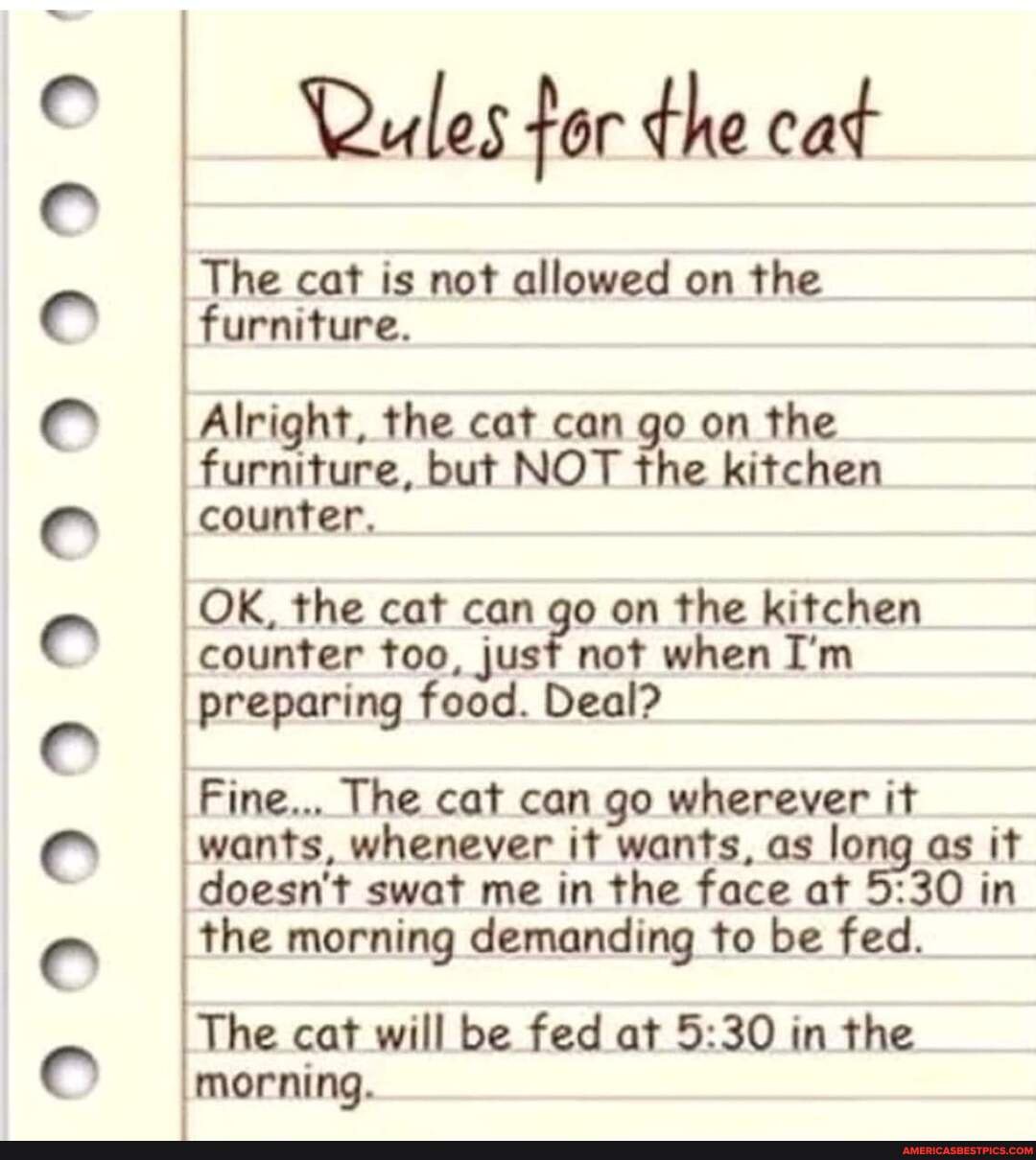 9990909999099' Rules for the cat The cat is not allowed on the furniture. Alright, the cat can