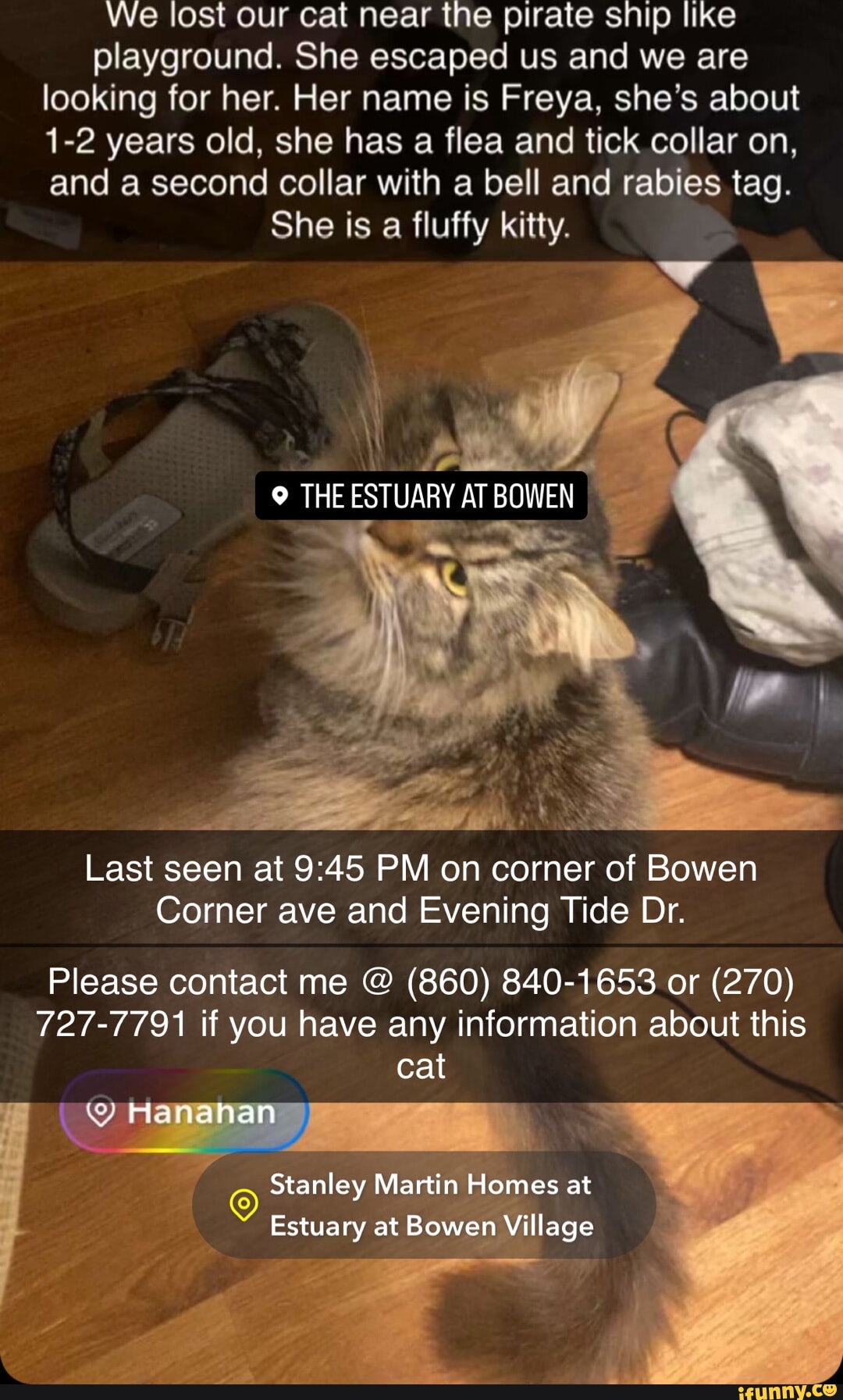 We lost our cat near the pirate snip like playground. She escaped us