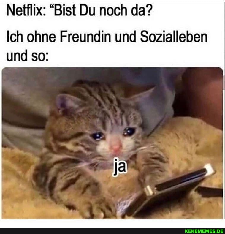 Netflix: "Bist Du noch da?
Ich ohne Freundin und Sozialleben und so: