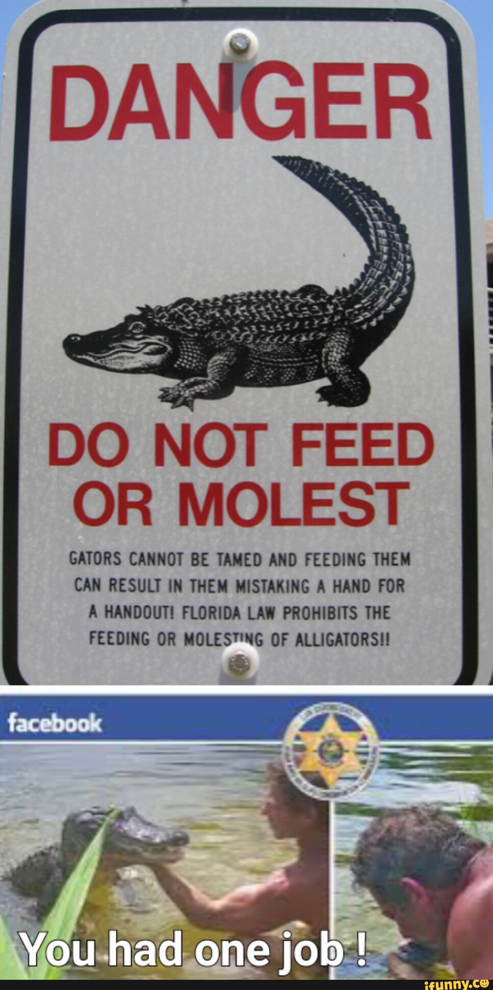 DANGER DO NOT FEED OR MOLEST GATORS CANNOT BE TAMED AND FEEDING THEM   B8f7287fd2a567bc38a821610543e3367007caa5eb3aa1b17ee21266de857853 1 