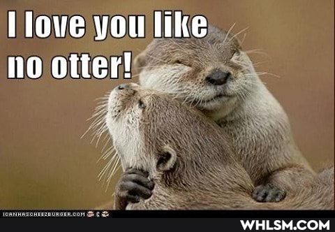love you like no otter!