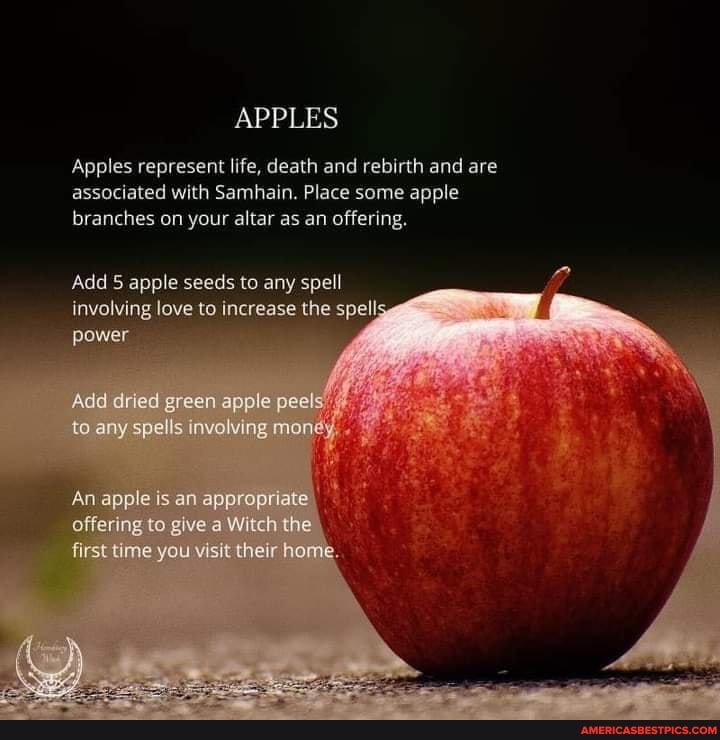 APPLES
Apples represent life, death and rebirth and are associated with Samhain. Place some apple branches on your altar as an offering,
Add 5 apple seeds to any spell involving love te increase the spell power
Add dned green apple peels ta any spells valving "
An apple is an appropriate offering to gwe Witeh the first you wisit home.