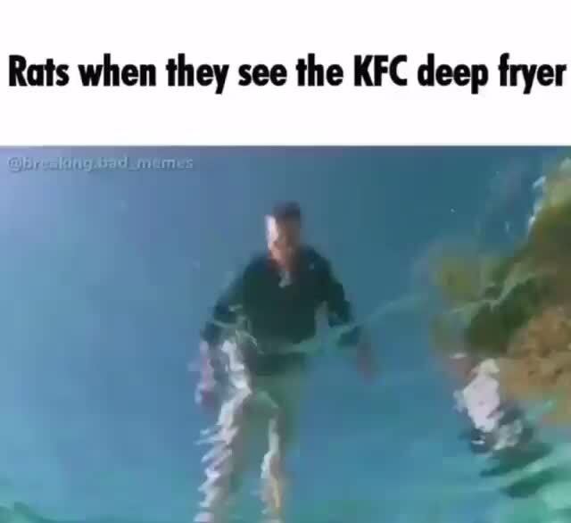 Rats when they see the KFC deep fryer )
