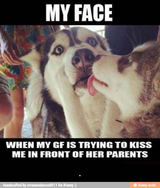 MY FACE
WHEN MY GF IS
TRYING To Kiss
ME IN FRONT OF HER PARENTS - .