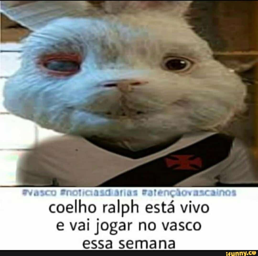 asco Pnoticasd árias Fatençãovascainos coelho ralph está vivo e vai jogar no vasco essa semana