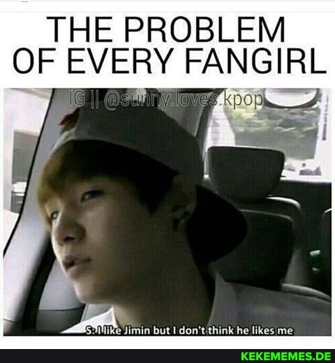 THE PROBLEM OF EVERY FANGIRL