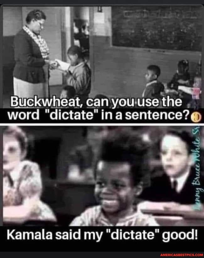Buckwheat, can you use the te" ina sentence? word "dicta
te" ina sentence
Kamala said my "dictate" good!
qood!