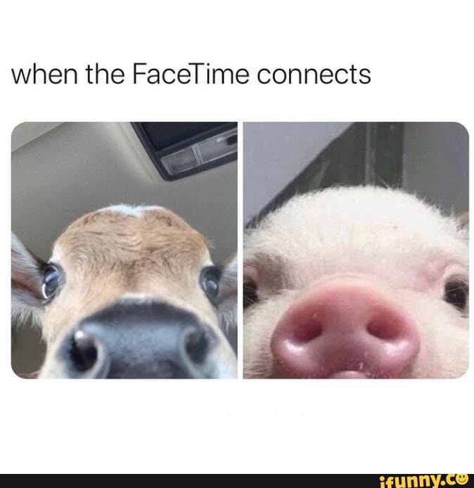 when the FaceTime connects