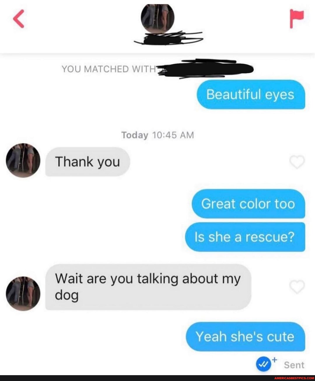 Domestic rizz - - - #memes #meme #lmao #lol #funny - NS YOU MATCHED ...