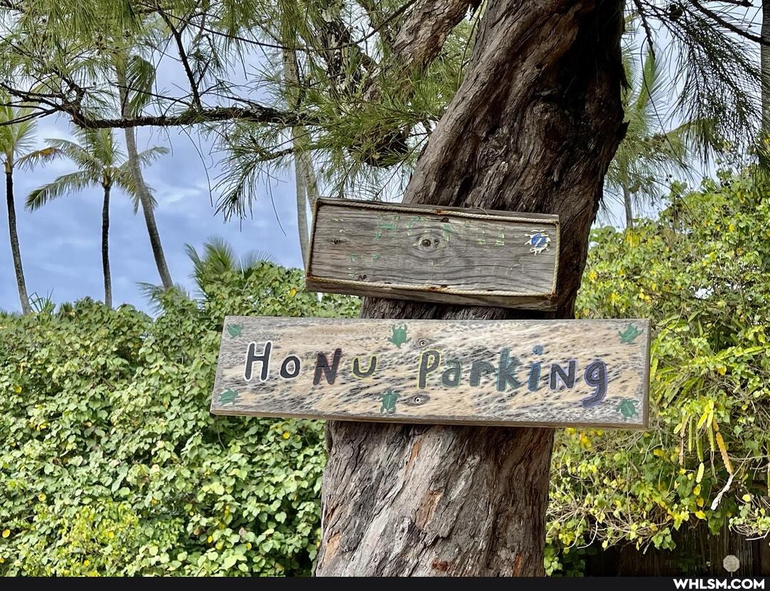 oahu, seaturtles, honuparking, seatanks