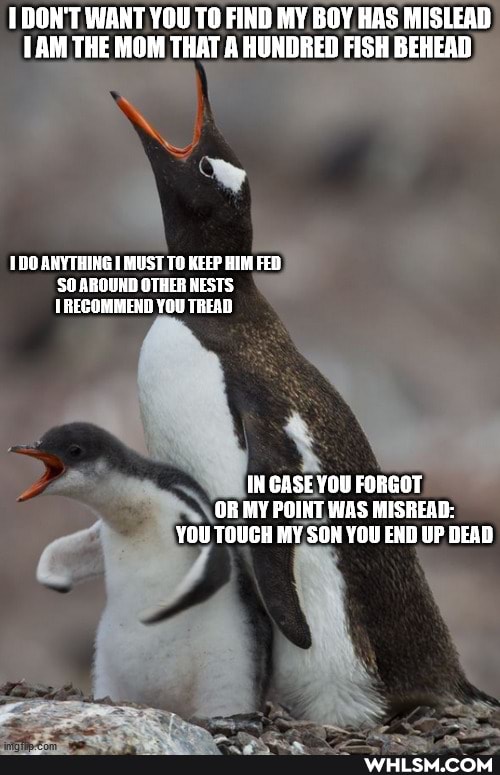 DON'T WANT YOU TO FIND MY BOY HAS MISLEAD THE MOM THAT A HUNDRED FISH BEHEAD
ANYTHING I MUST TO KEEP HIM FED SO AROUND OTHER NESTS RECOMMEND YOU TREAD
IH GASE YOU FORGOT OR MY POINT WAS MISREAD:
YOU TOUGH MY SON YOU END UP DEAD