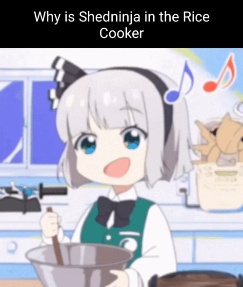 Share more than 79 anime rice cooker latest - in.cdgdbentre