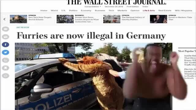 Furries are now illegal in Germany - iFunny