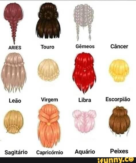 ARIES Touro Gêmeos Câncer
Sagitário Capricórnio Aquário Peixes