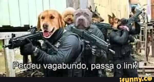 Pp
vagabundo