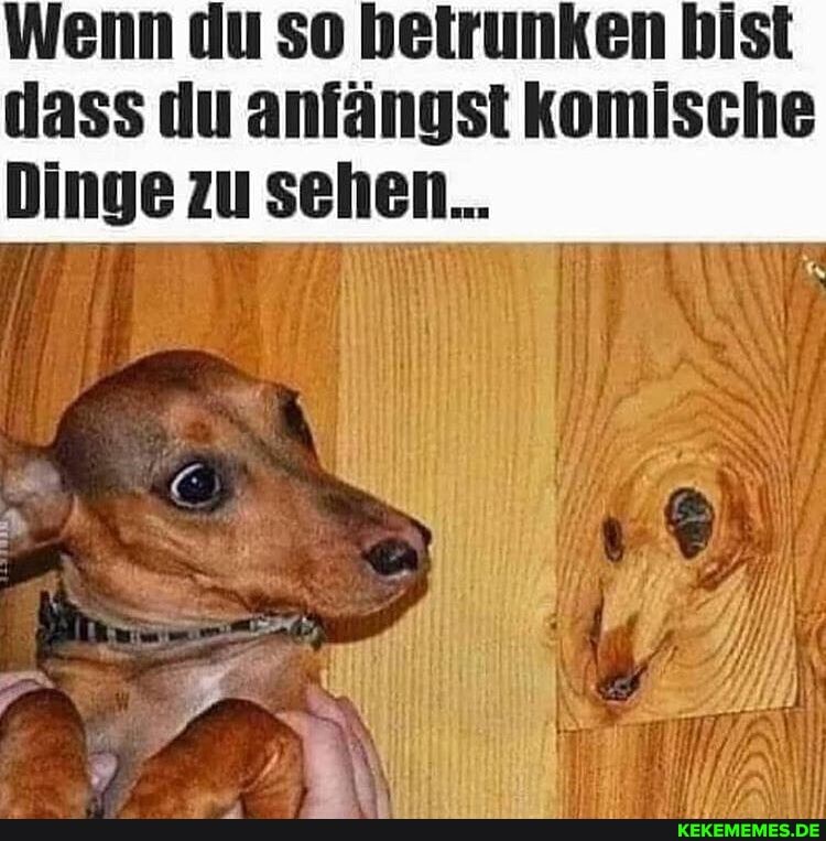 Wenn du so betrunken bist
dass du anfängst komische
Dinge zu sehen...